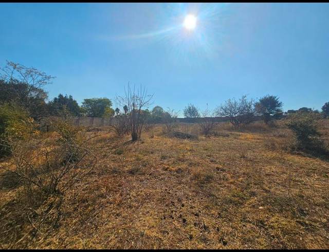 FARM FOR SALE IN ZONNEHOEWE